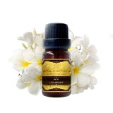 https://thailandstore.org/image/cache/160-160/data/productrazm/aromaoil/20097.jpg