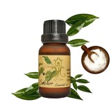 https://thailandstore.org/image/cache/160-160/data/productrazm/aromaoil/20315.jpeg
