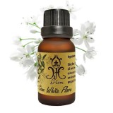 https://thailandstore.org/image/cache/160-160/data/productrazm/aromaoil/20355.jpeg