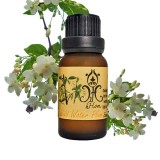 https://thailandstore.org/image/cache/160-160/data/productrazm/aromaoil/20356.jpeg