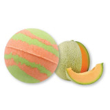 https://thailandstore.org/image/cache/160-160/data/productrazm/bathboom/4193-2-melon.jpg