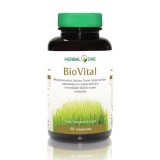 https://thailandstore.org/image/cache/160-160/data/productrazm/vitamin/11291-1.jpeg