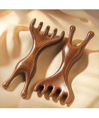 Meridian Massage Comb Head 2 in 1