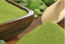 Superfood moringa - Benefits for all