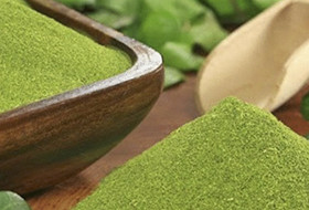Superfood moringa - Benefits for all