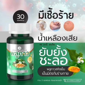 Капсулы от экземы и от сыпи на коже ( SN9 เอสเอ็นไนน์)- 30 капсул Капсулы от экземы и от сыпи на коже ( SN9 เอสเอ็นไนน์)- 30 капсул