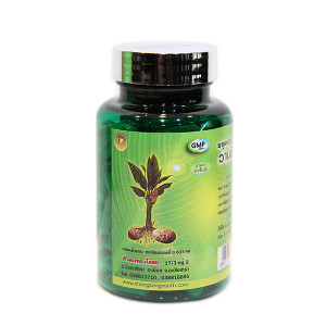 Phytopreparation Curcuma xanthorrhiza Roxb (Thongtong Brand) - 100 capsules.
