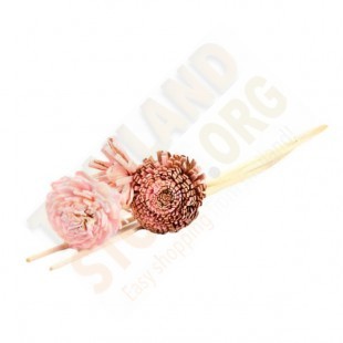 Reed Stick Sets with Flowers (Mistique Arom) - 25 cm.