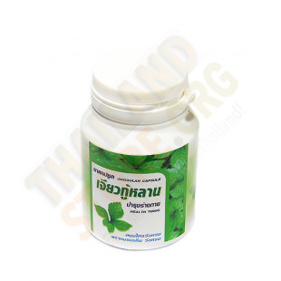 Phytopreparation Jiaogulan herb of longevity (Wang prom) - 100 caps.