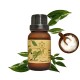 Camphor essential oil (H-Hom) - 15ml.