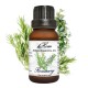 Rosemary essential oil (H-Hom) - 15ml.