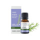 Rosemary 100% Pure Essential Oil  (Sabai Arom) - 10ml.
