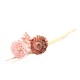Reed Stick Sets with Flowers (Mistique Arom) - 25 cm.