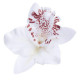 Orchid flower hair clip for women (8cm 3.15") - 1 pc.