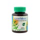 Phytopreparation pills for hemorrhoids (Khaolaor) - 42 tab.